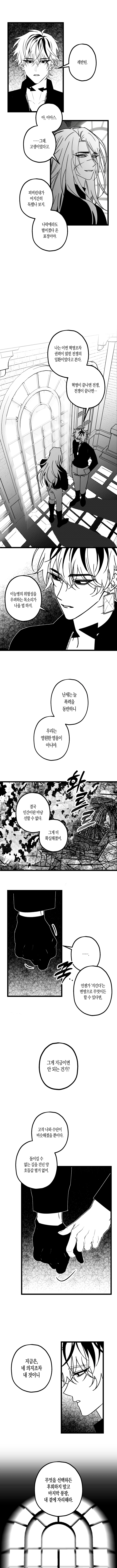 최후의 성단 1.webp